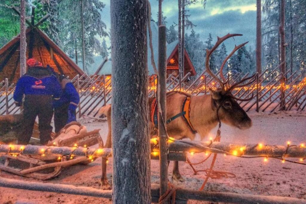 Cosy Studio Apartment - Perfect For Your Stay In Rovaniemi! エクステリア 写真